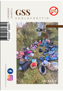 Skólafréttir vikuna 29. jan. - 2. feb.