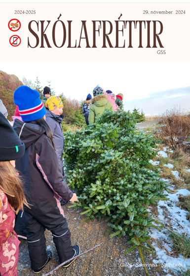 Skólafréttir vikuna 25. - 29. nóvember