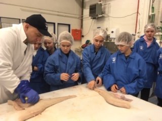 Vikupóstur stjórnenda