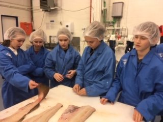 Nemendur í bundnu vali í heimilisfræði lærðu að flaka fisk