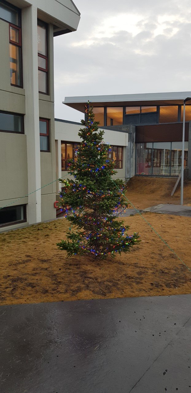 Vikupóstur stjórnenda