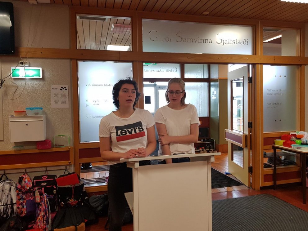 Kosningar til nemendaráðs, íþróttaráðs og tækniráðs