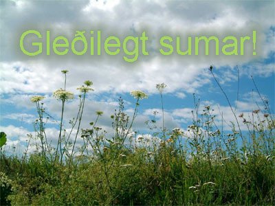 Gleðilegt sumar