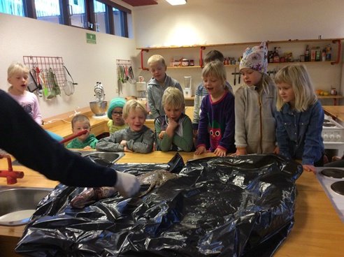 Heimsókn í 1. - 5. bekk