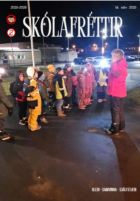 Skólafréttir 14. nóvember