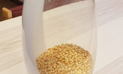 Vikupóstur stjórnenda