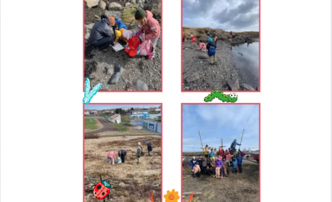 Vikupóstur stjórnenda