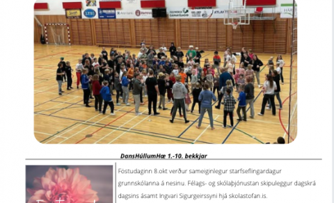 Vikupóstur stjórnenda