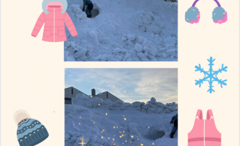 Skólafréttir vikuna 3. - 6. janúar 2023