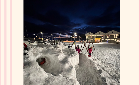 Skólafréttir vikuna 9. - 13. janúar 2023