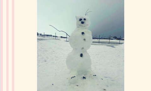 Skólafréttir vikuna 30. janúar - 3. febrúar 2023