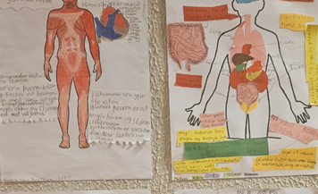 Skólafréttir vikuna 24. - 28. mars