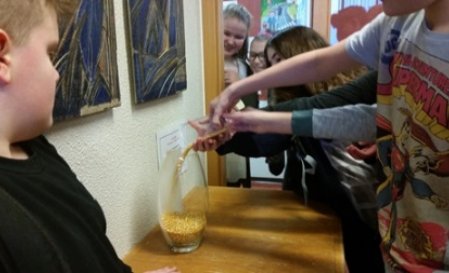 Unnið með maísbaunirnar úr lestrarátakinu