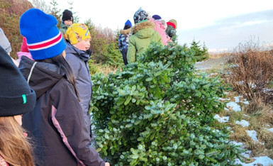 Skólafréttir vikuna 25. - 29. nóvember