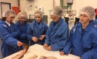 Nemendur í bundnu vali í heimilisfræði lærðu að flaka fisk