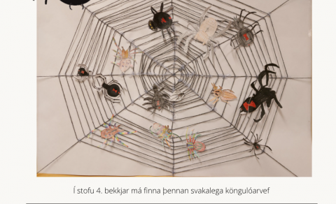 Vikupóstur stjórnenda