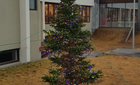 Vikupóstur stjórnenda