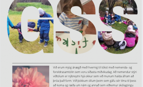 Vikupóstur stjórnenda