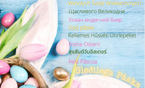 Vikupóstur stjórnenda