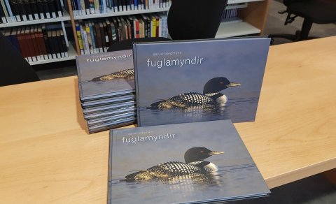 Góðar bækur að gjöf