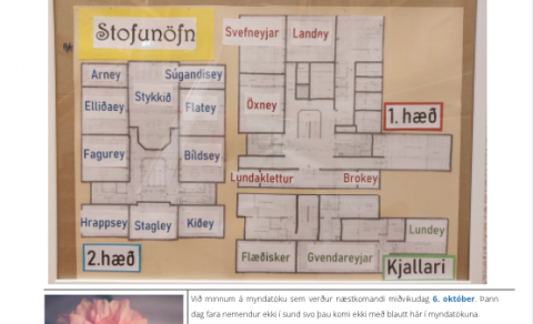 Vikupóstur stjórnenda