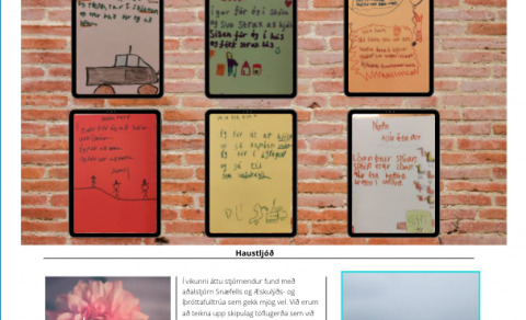 Vikupóstur stjórnenda