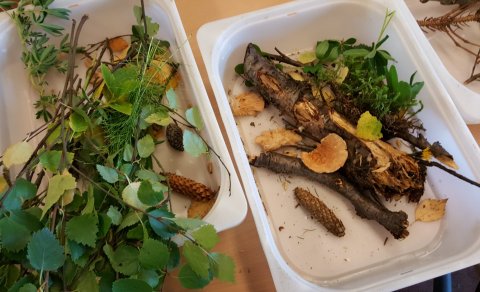 Haustvindar ? Sköpun yngri