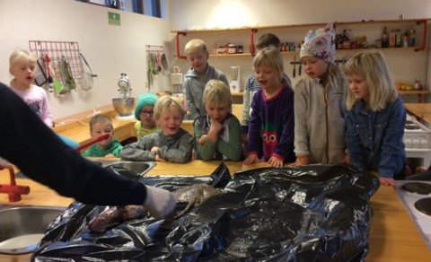 Heimsókn í 1. - 5. bekk