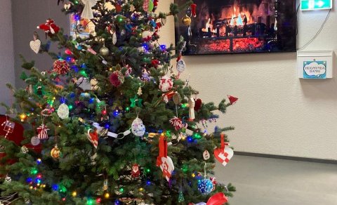 Glæsilegt jólatré