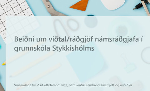 Ráðgjöf/viðtal hjá námsráðgjafa