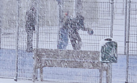 Skólafréttir 06. mars